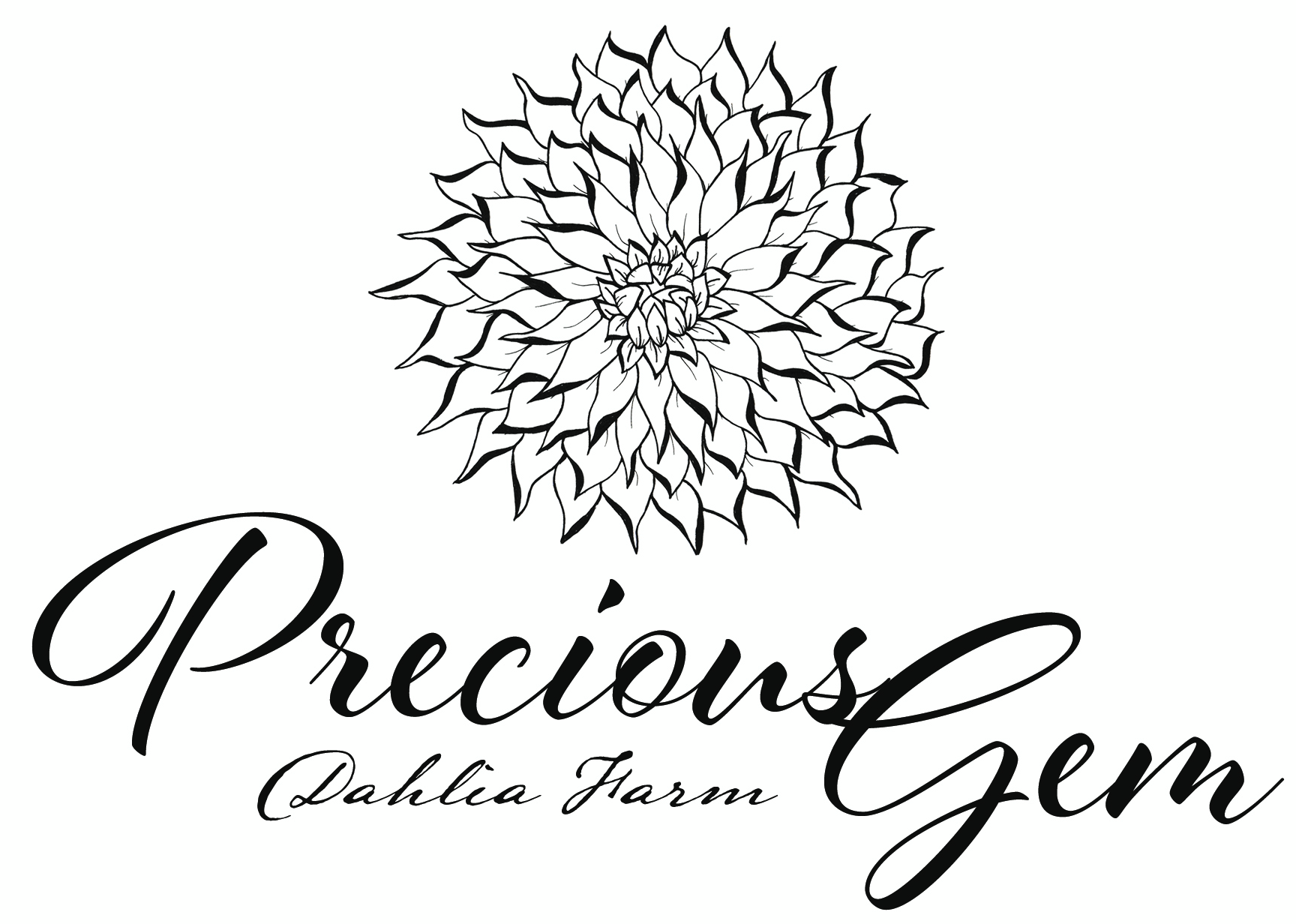 Logo Option For Website - Precious Gem Dahlia Farm